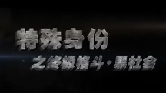 电影<特殊身份>制作特辑之终极格斗.黑社会