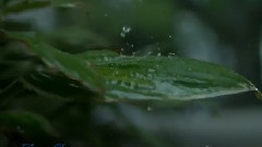 Giovanni Marradi - Rain Dance