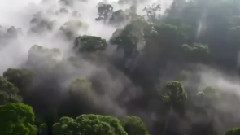 <大自然在说话> 预告片精彩片段 蒋雯丽配音