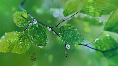 Giovanni Marradi,音乐短片 - Nostalgie