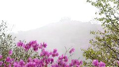 遇上你是我的缘(竹笛版)