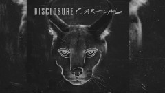 Disclosure - Disclosure - Nocturnal