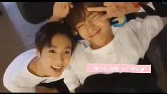 花瓣占卜 正太VER