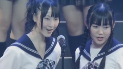 櫻花印記(桜の栞)