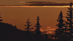 Michel Pépé,音乐短片 - Beaute Elfique