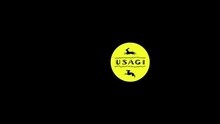 USAGI - Usagi-Fumaina Story-