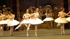 Оживленный сад