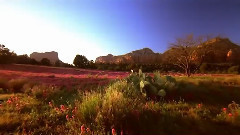 美国国家公园(十四)