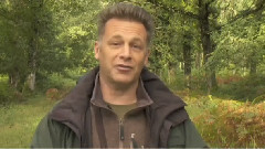 EURASIAN SPARROWHAWKS SECRET LIFE