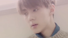 你就不要想起我