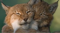 Happy Valentine's Day