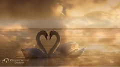 Giovanni Marradi - Shadows