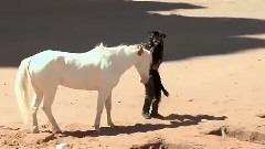 电影<独行侠>拍摄花絮之Hi Yo Silver