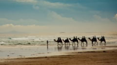 陈粒 - 奇妙能力歌