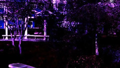 与你为友 Friends