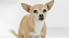 电影<快乐大本营之快乐到家>前瞻宣传片