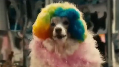 电影<快乐大本营之快乐到家>先行版预告片1