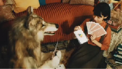 フジファブリック - Girl! Girl! Girl!