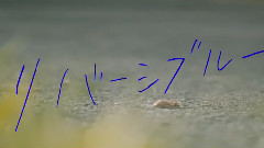 クリープハイプ - Reversiblue