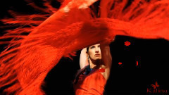 Roni Benise - Guitarria