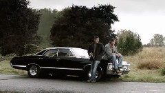 夏洛特烦恼(温家双煞)