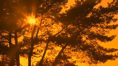 轻音乐,音乐短片 - Autumn Magic秋天魔法