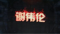 谢伟伦 - 谢伟伦2015珠海国际沙滩音乐节精彩演出片段花絮