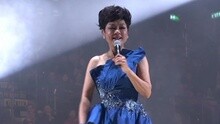 叶丽仪 - Sometimes When We Touch 叶丽仪45年香港情演唱会 现场版