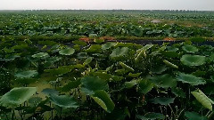 正月十五 - 被爱也是一种幸福