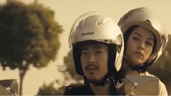 我爱你不惜与世界为敌