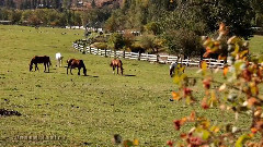 Falls Creek, Winthrop