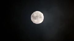 彩云追月(葫芦丝)