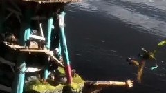 电影<驯龙高手2> 拍摄花絮 中文制作特辑之IMAX幕后