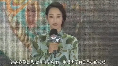 电影<驯龙高手2> 上海首映式