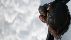 电影<驯龙高手2> 先行版预告片