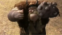 电影<驯龙高手2> 中文版预告片2