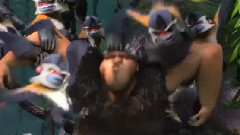 电影<疯狂原始人> 精彩段之Punch Monkeys