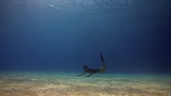 My World A Film By Madison Stewart