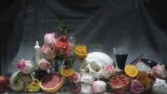 Vanitas Version Longue