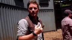 电影<侏罗纪世界> 制作特辑之Whistle