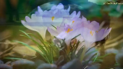 Giovanni Marradi - Love Makes The World Go