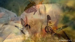 Giovanni Marradi - Lacrymosa (Альбом For You)