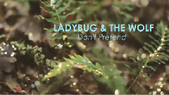 Ladybug and the Wolf - Don't Pretend