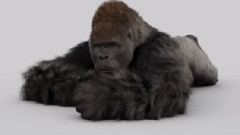 电影<大明猩>先行版预告片1