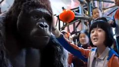 电影<大明猩>先行版预告片2