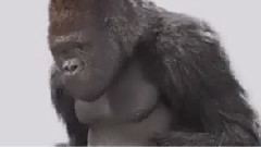 电影<大明猩>制作特辑之明日巨星Mr.Go