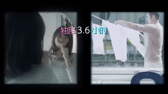 电影<被偷走的那五年>网络版预告片