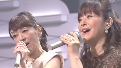 白い色は恋人の色