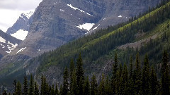 Альберта (Канада)