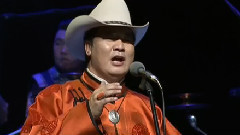 安达组合 - 黑鬃马